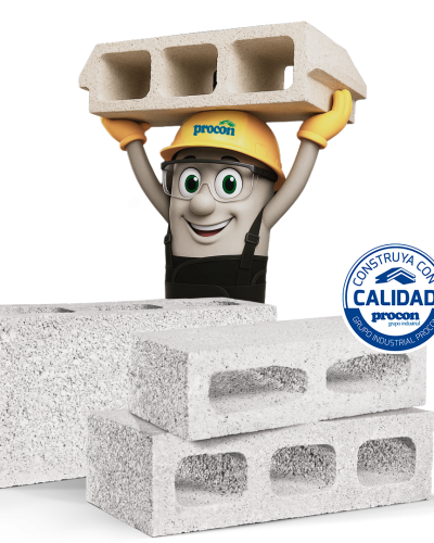 BLOQUI Y BLOCKS CON CHALECOssss